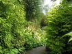 5star holiday cottage Isle of Arran - Garden view